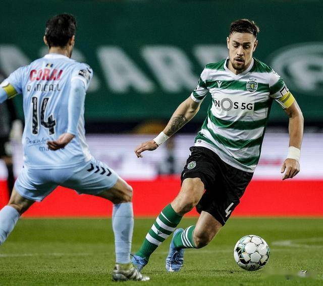 关于纽约尼克斯今夜外线爆发；志在葡超名次提升；信心回归；轮换策略成焦点的信息